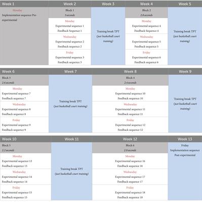 Influence of problem-solving ability and personality variables on the improvement and creativity of tactical decisions in basketball